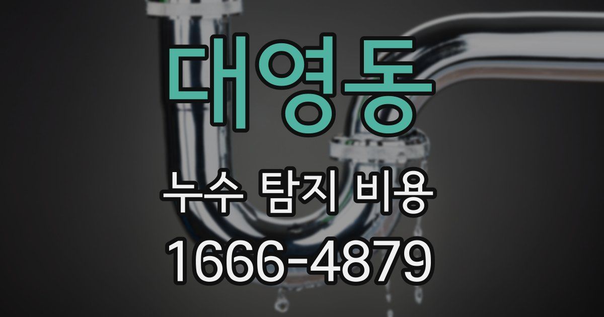 대영동 누수 탐지 비용