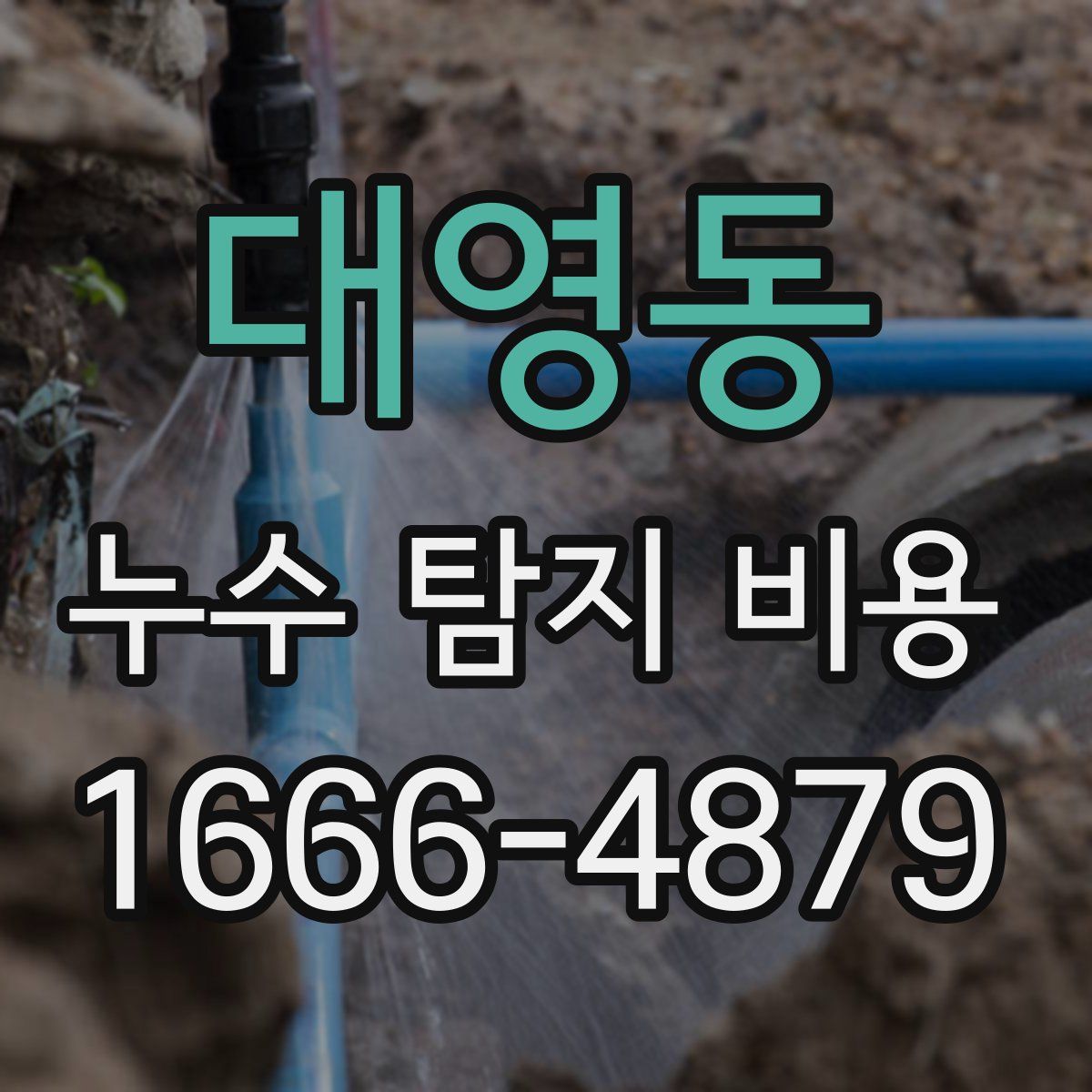 대영동 누수 탐지 비용