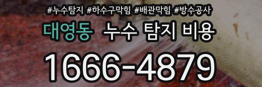 대영동 누수 탐지 비용