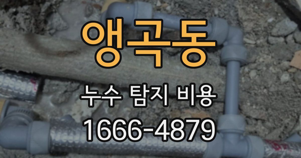 앵곡동 누수 탐지 비용
