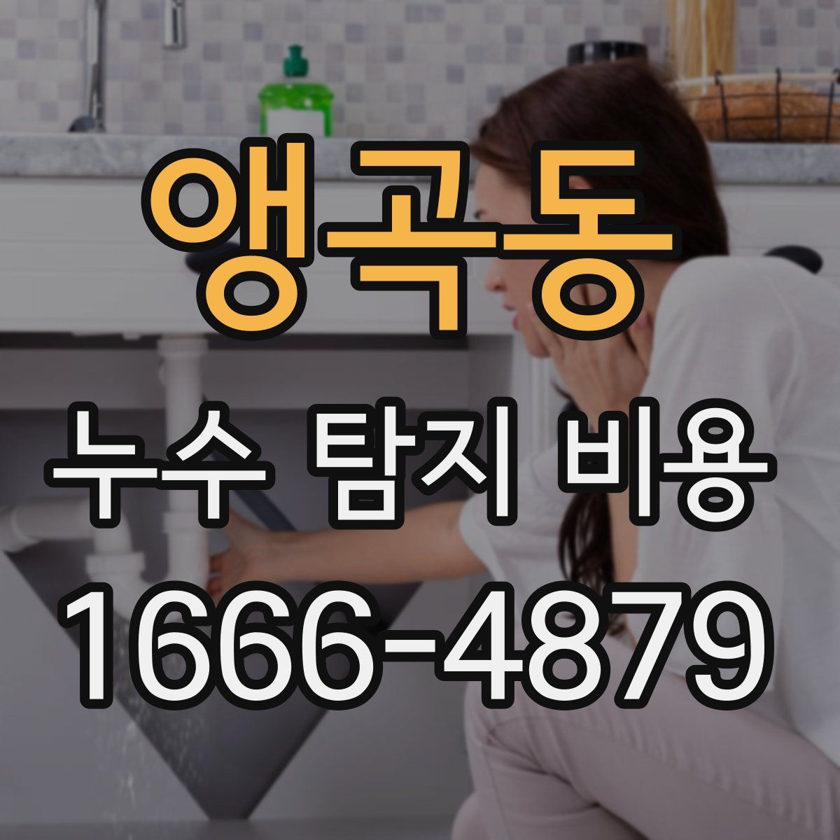 앵곡동 누수 탐지 비용