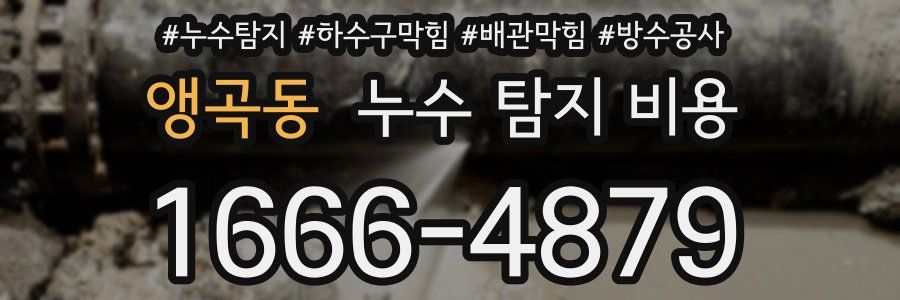 앵곡동 누수 탐지 비용