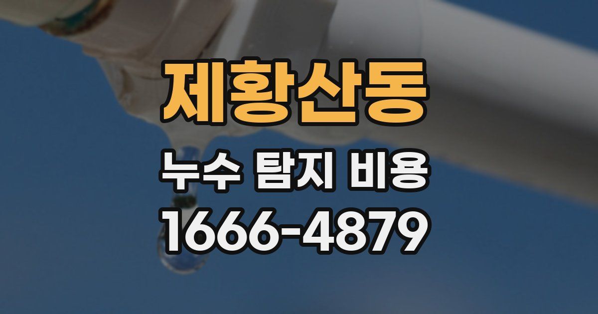 제황산동 누수 탐지 비용