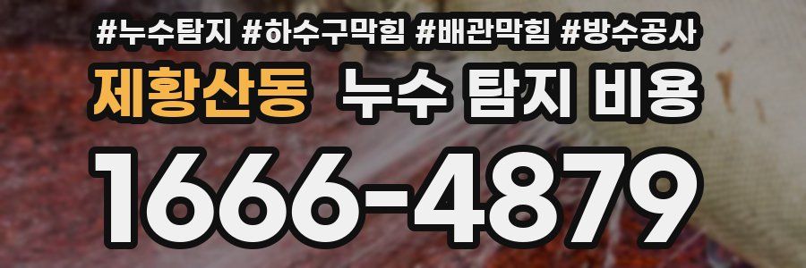 제황산동 누수 탐지 비용