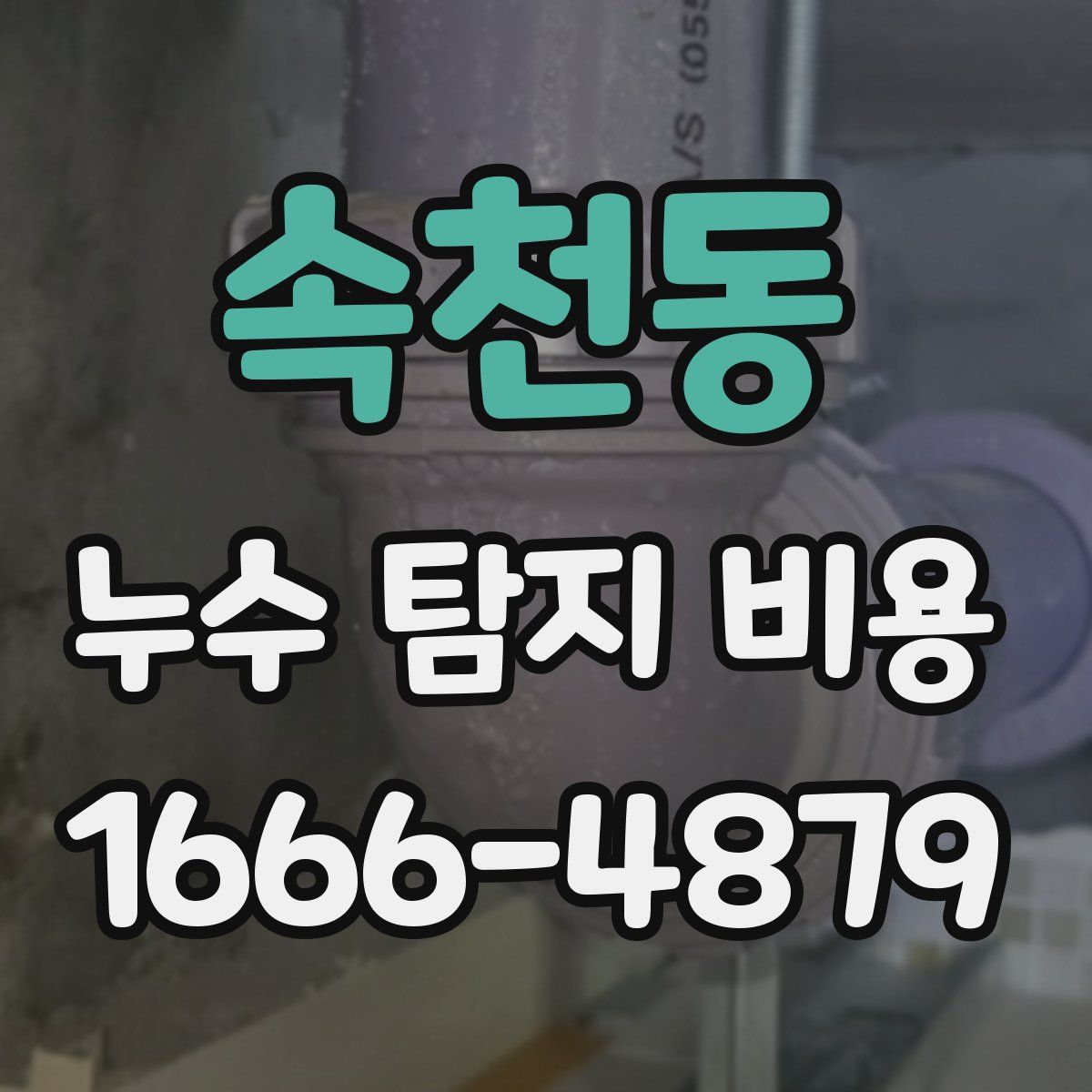 속천동 누수 탐지 비용