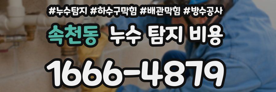 속천동 누수 탐지 비용