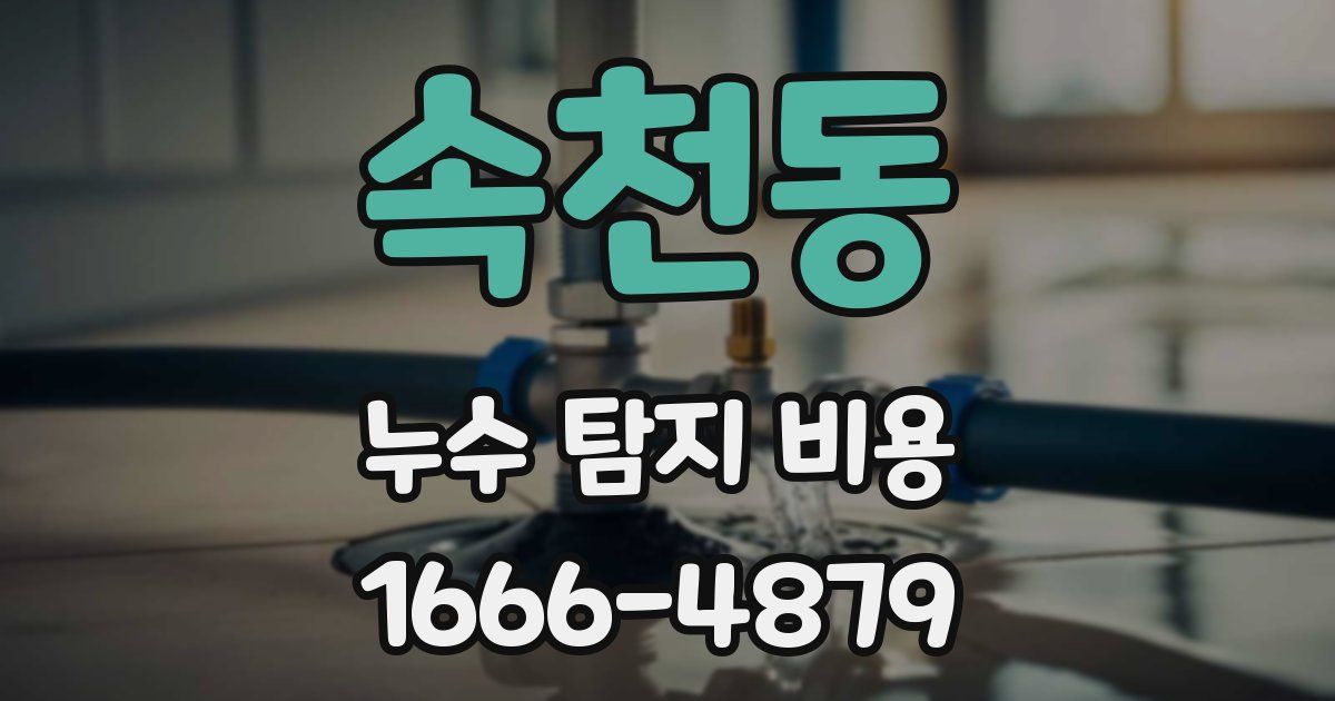 속천동 누수 탐지 비용