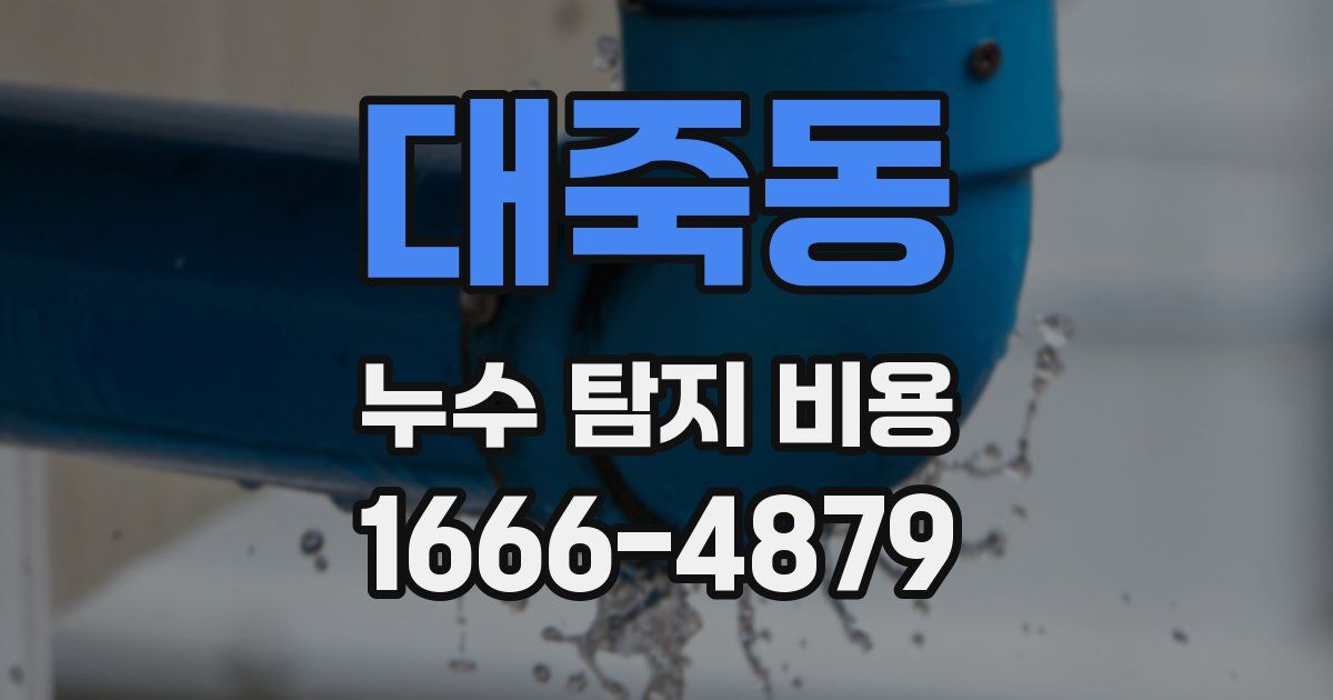 대죽동 누수 탐지 비용