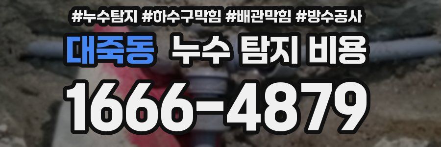 대죽동 누수 탐지 비용