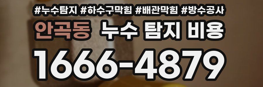 안곡동 누수 탐지 비용