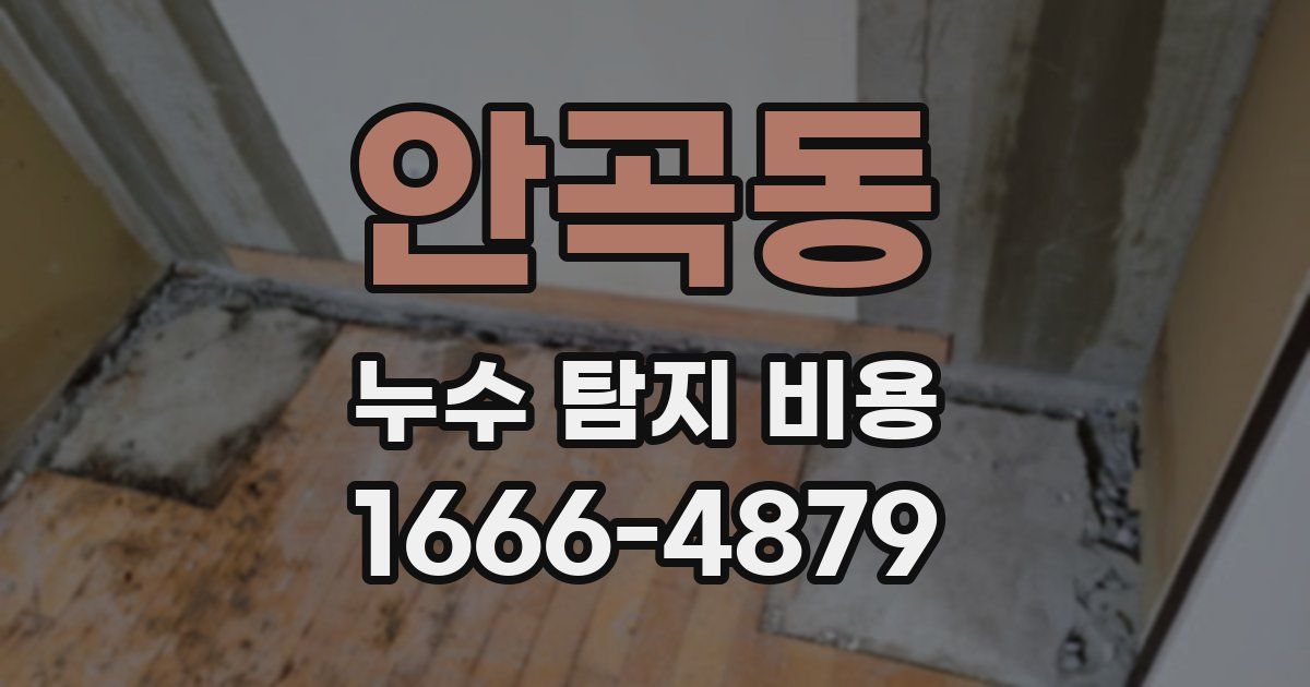 안곡동 누수 탐지 비용