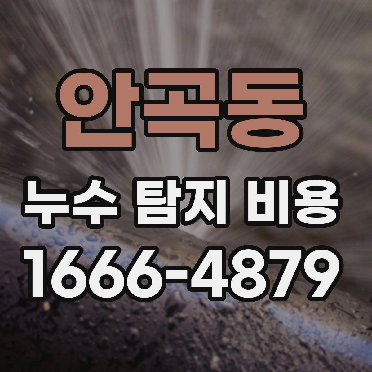 안곡동 누수 탐지 비용