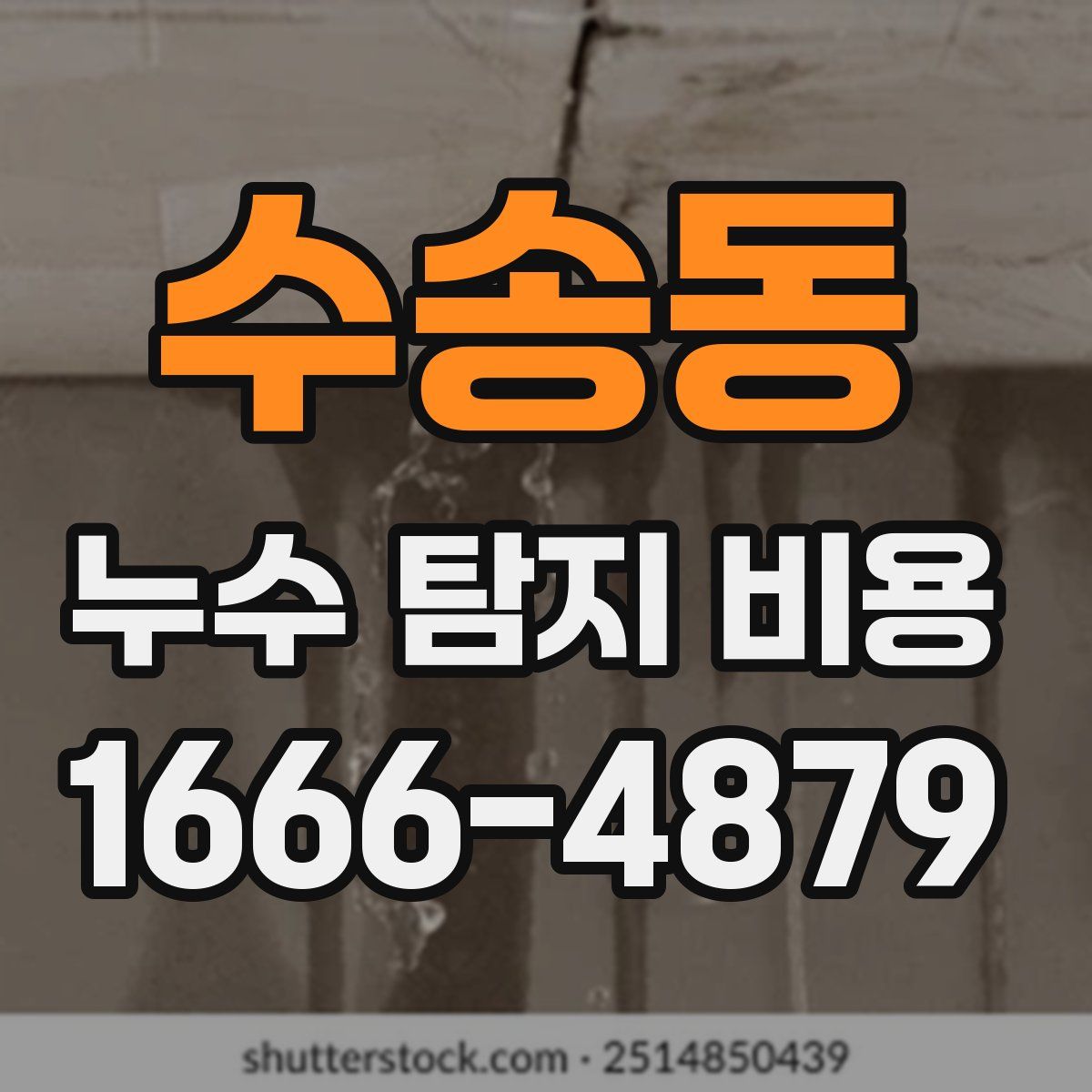 수송동 누수 탐지 비용
