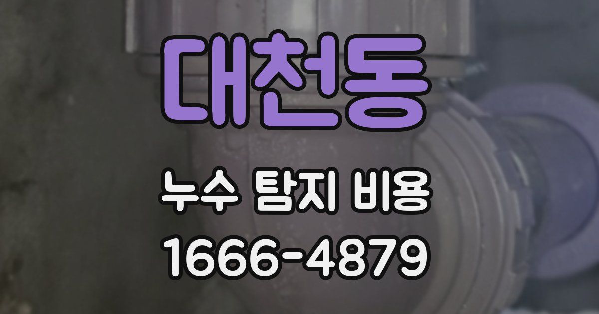 대천동 누수 탐지 비용