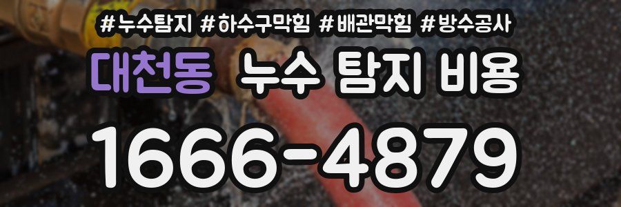 대천동 누수 탐지 비용
