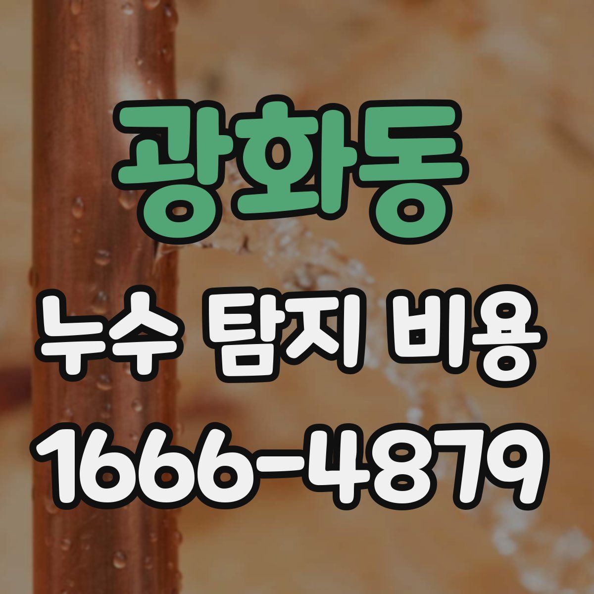 광화동 누수 탐지 비용
