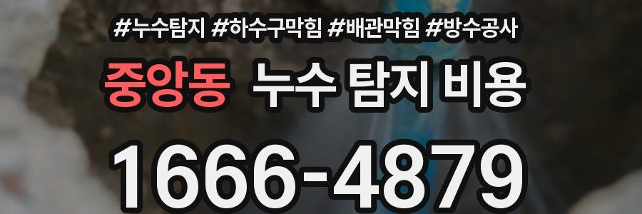 중앙동 누수 탐지 비용