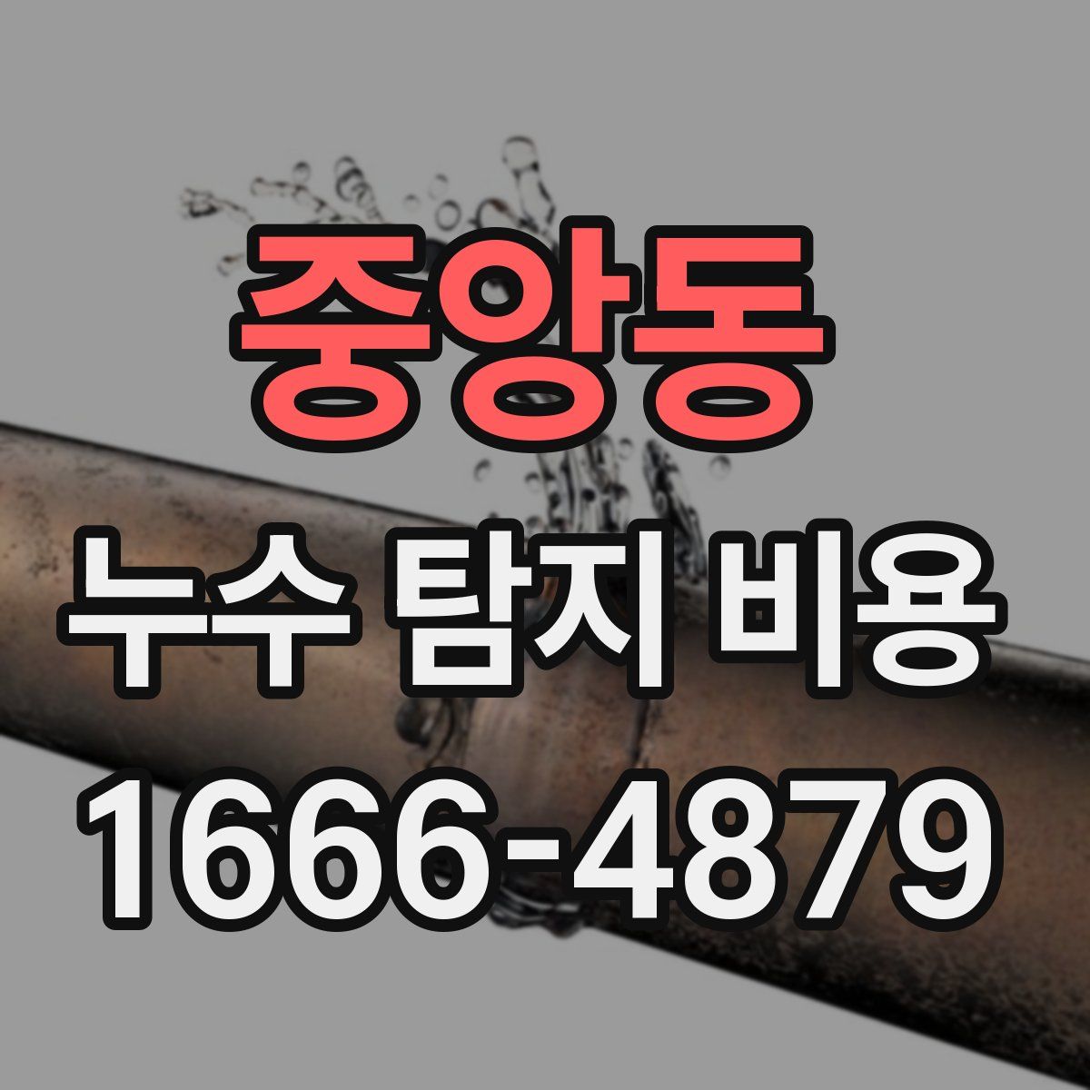 중앙동 누수 탐지 비용