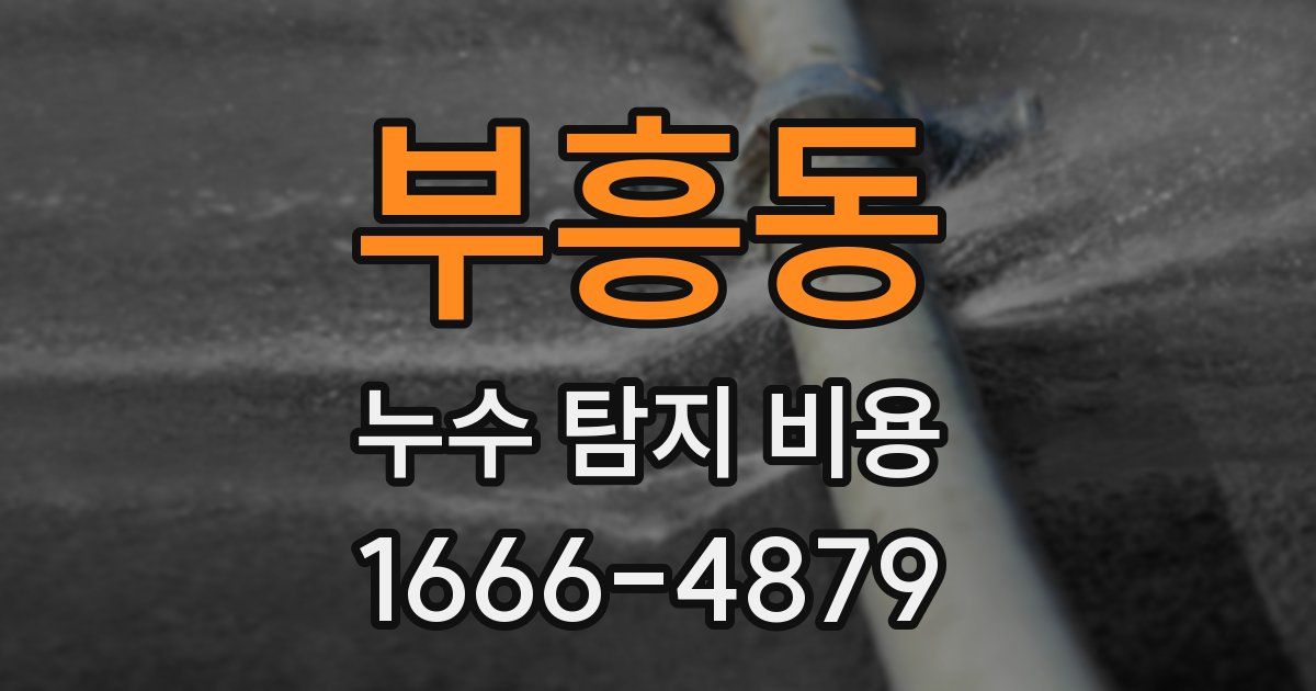 부흥동 누수 탐지 비용