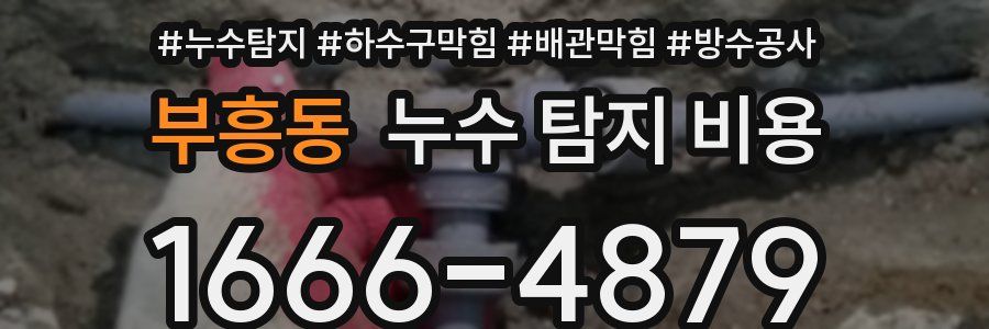 부흥동 누수 탐지 비용