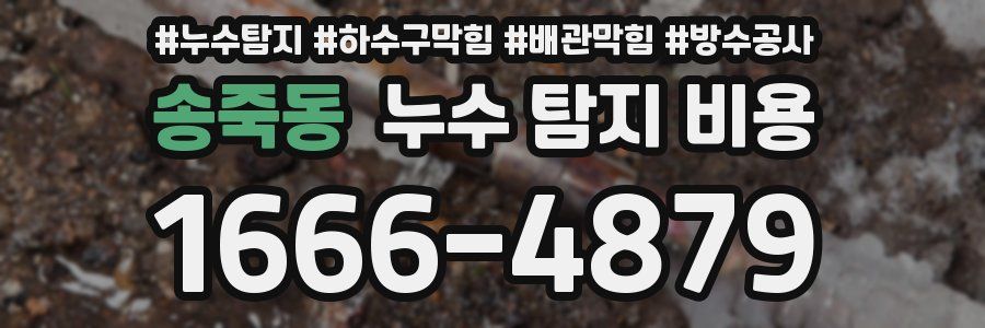 송죽동 누수 탐지 비용
