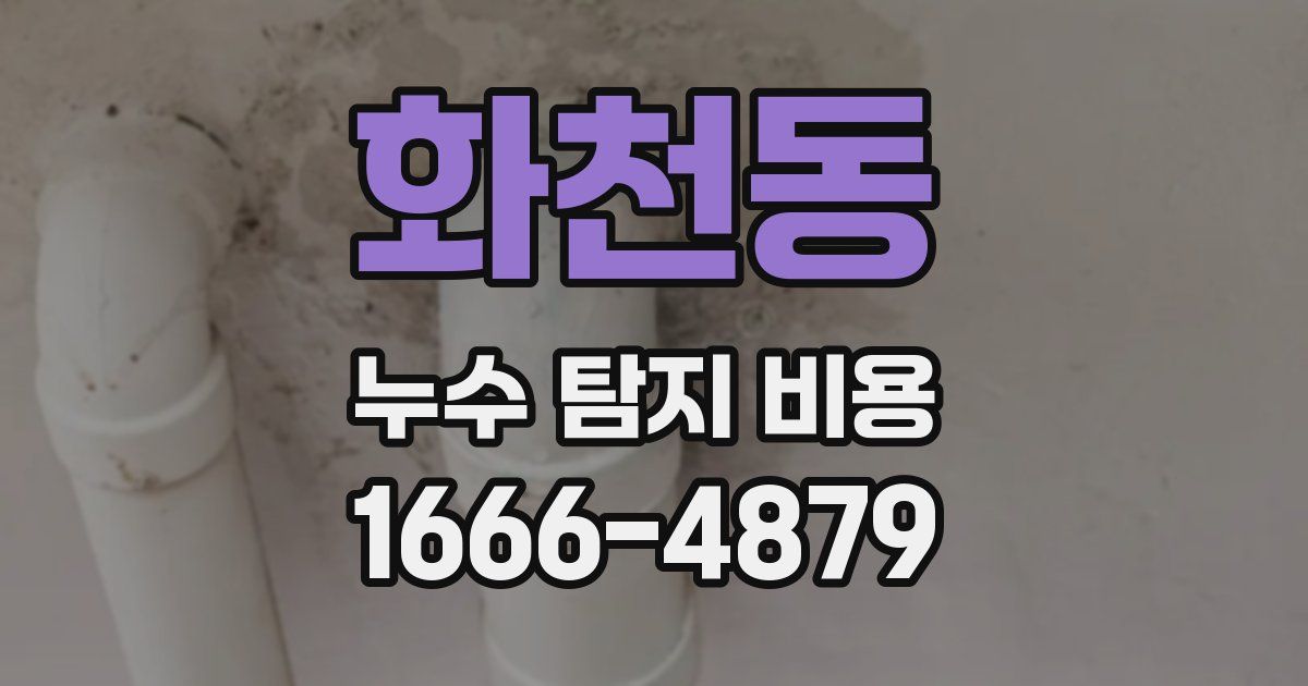 화천동 누수 탐지 비용