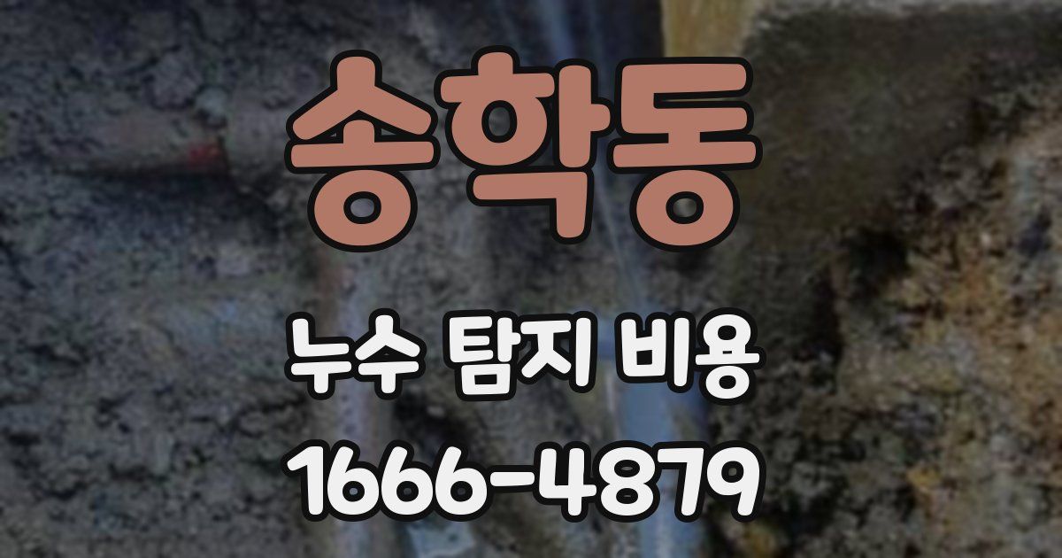 송학동 누수 탐지 비용