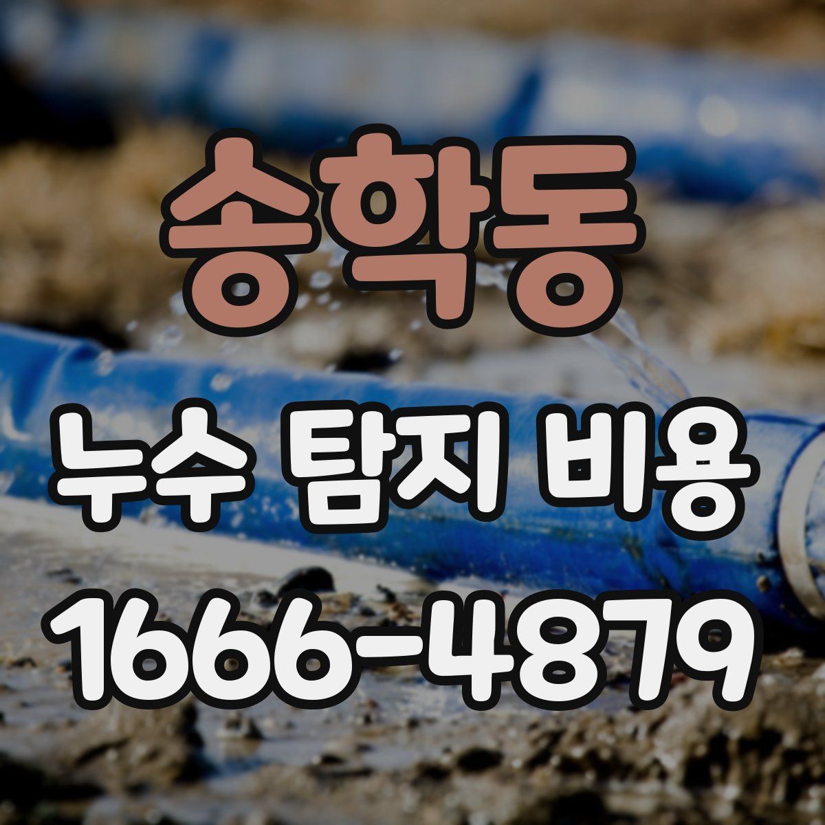 송학동 누수 탐지 비용