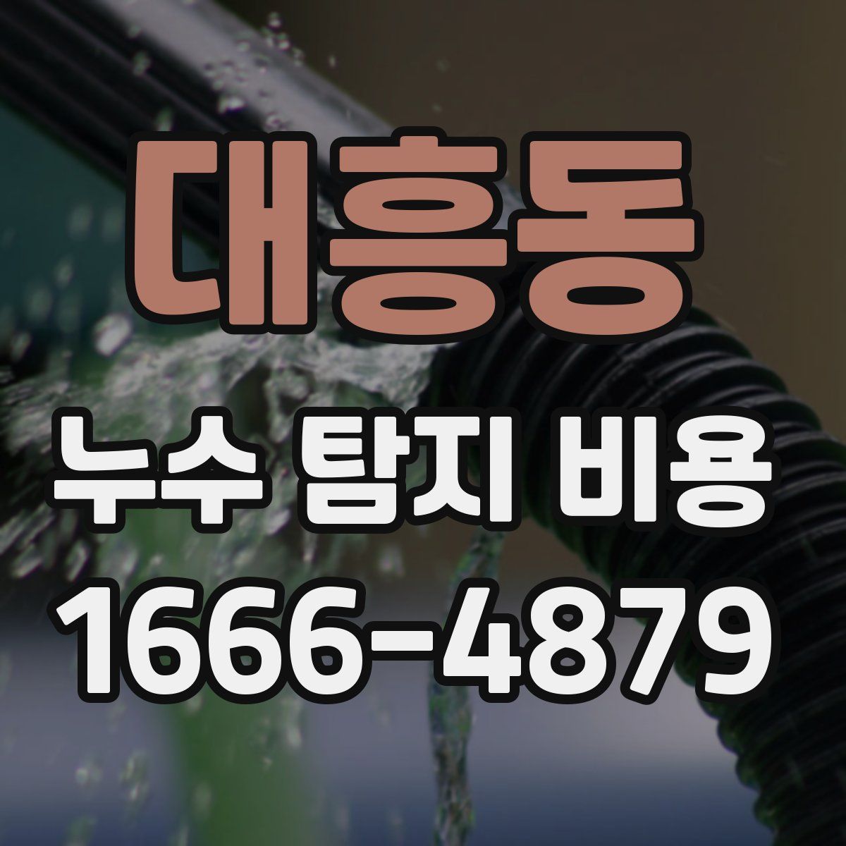 대흥동 누수 탐지 비용