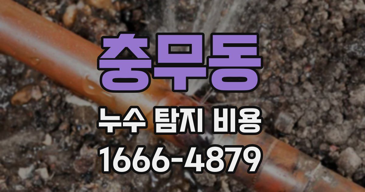 충무동 누수 탐지 비용