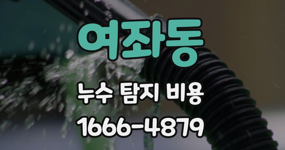 여좌동 누수 탐지 비용