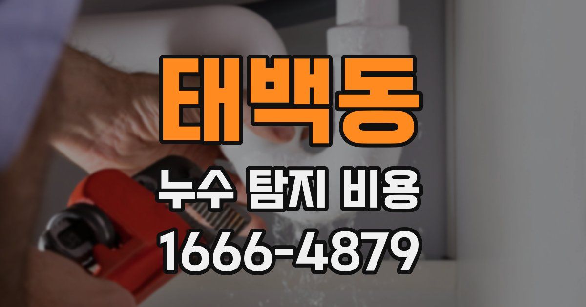 태백동 누수 탐지 비용