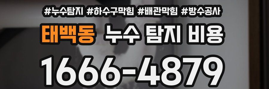 태백동 누수 탐지 비용