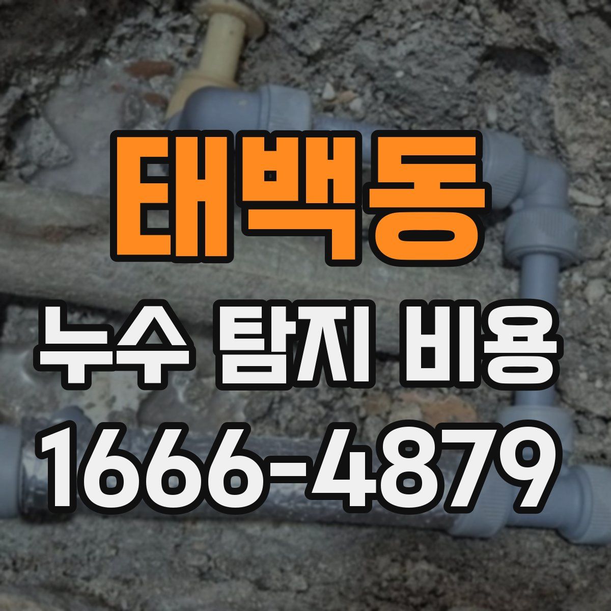 태백동 누수 탐지 비용