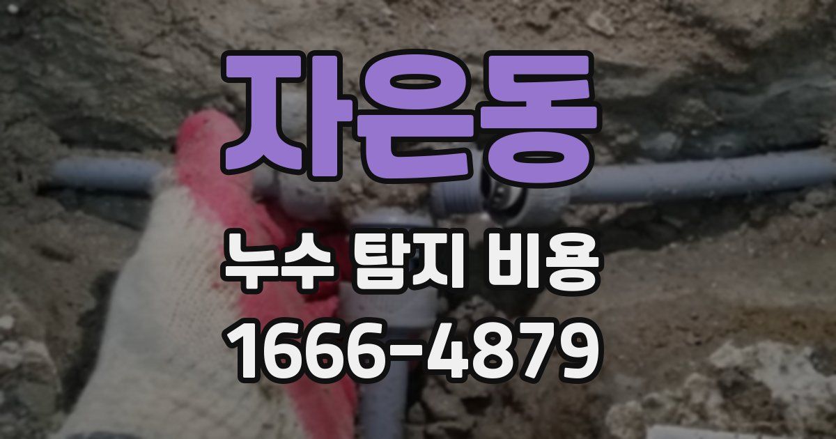 자은동 누수 탐지 비용
