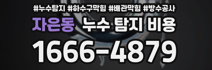 자은동 누수 탐지 비용