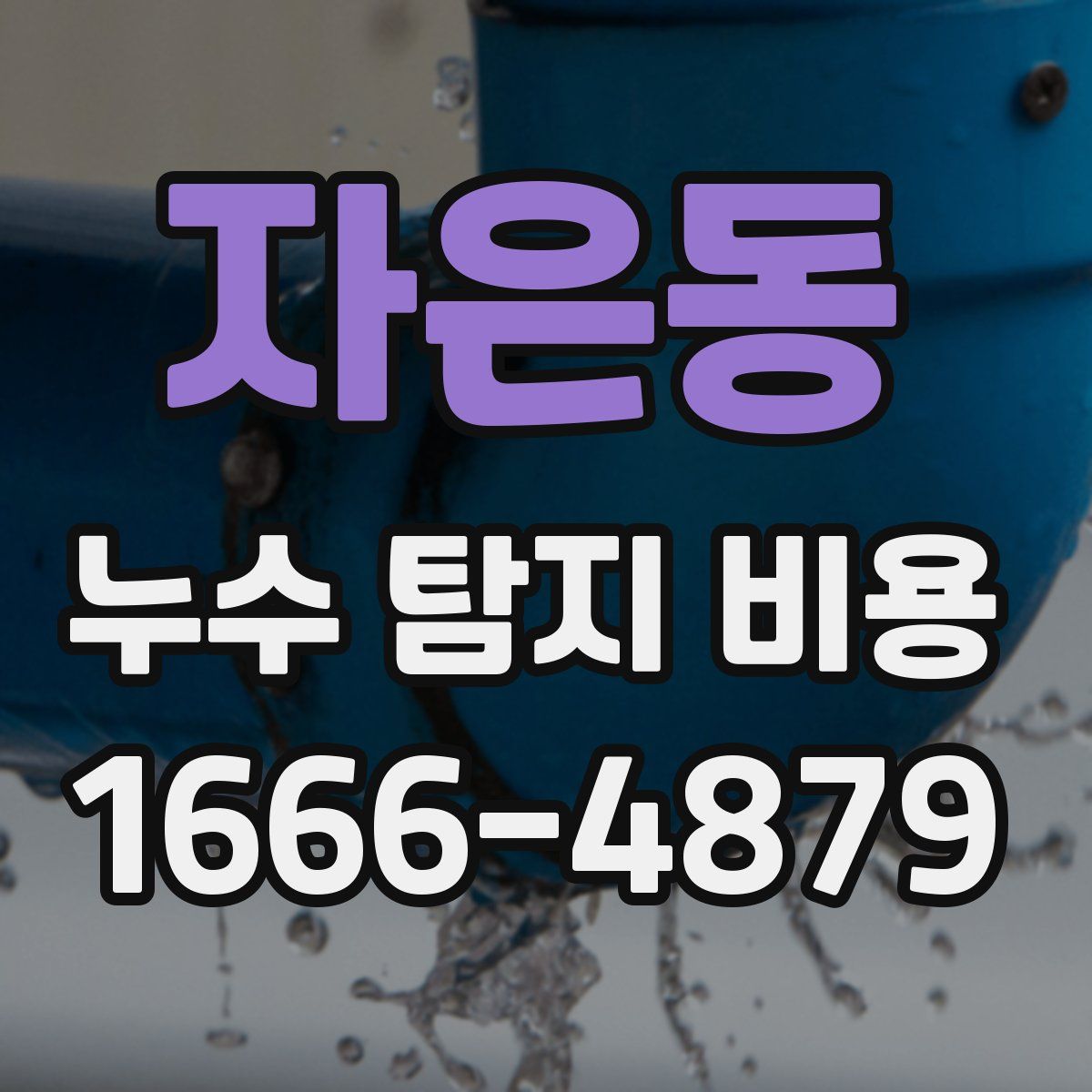 자은동 누수 탐지 비용