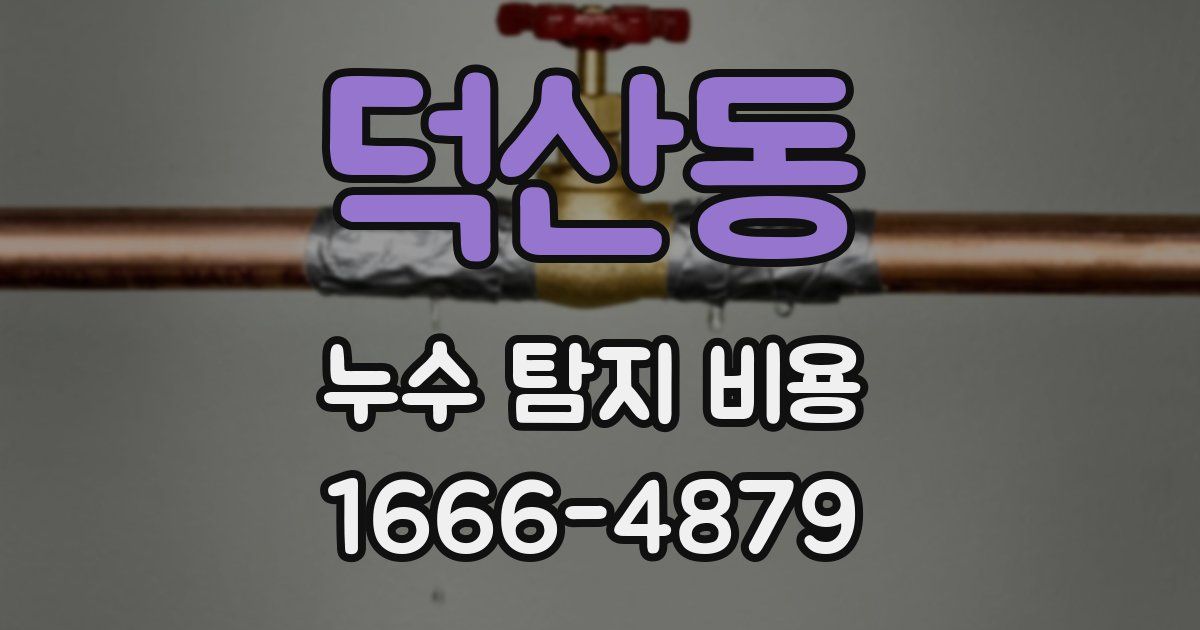 덕산동 누수 탐지 비용
