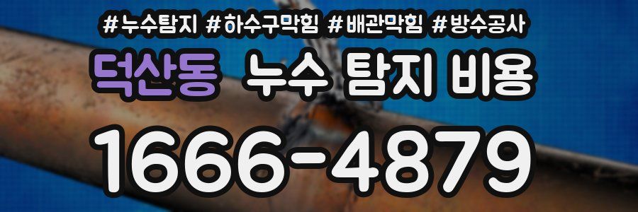 덕산동 누수 탐지 비용
