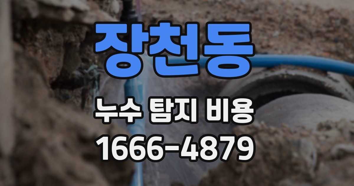 장천동 누수 탐지 비용