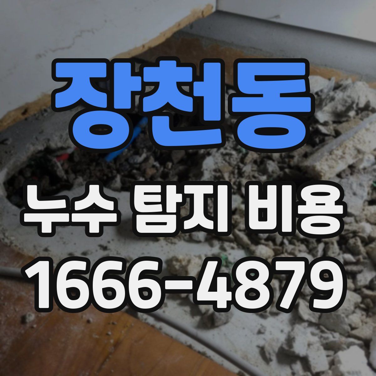 장천동 누수 탐지 비용