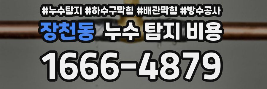 장천동 누수 탐지 비용