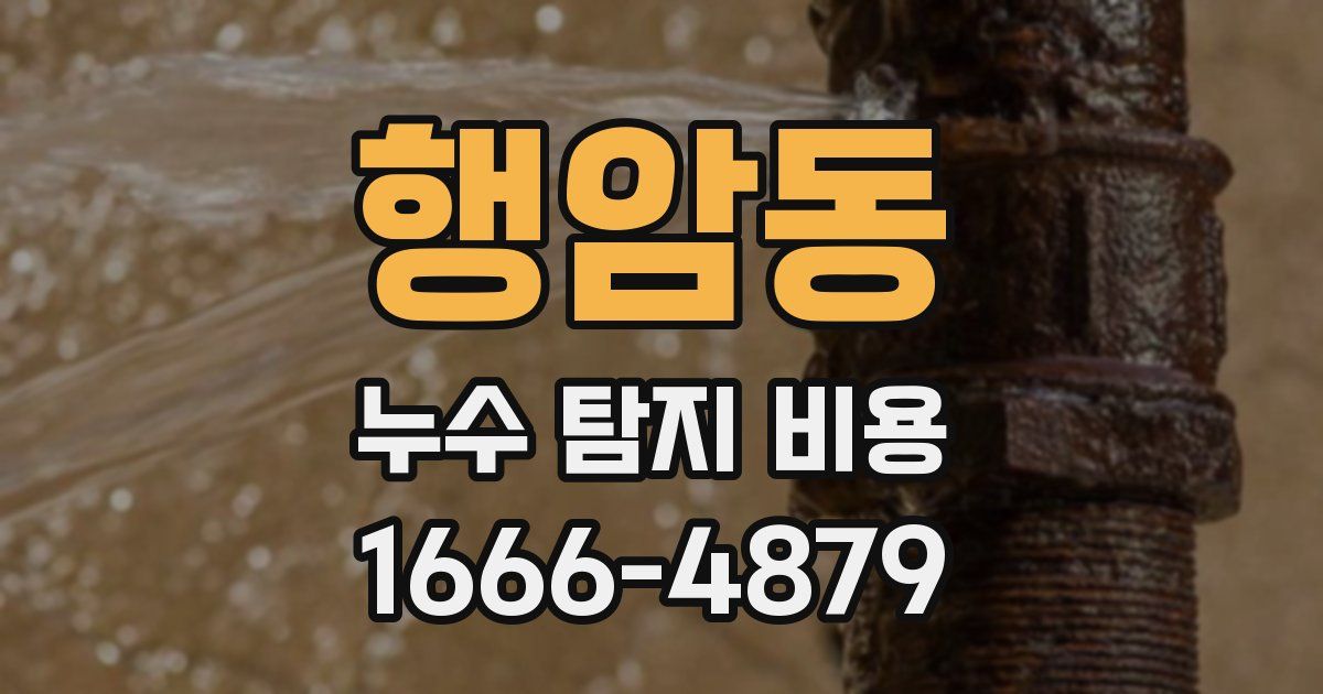 행암동 누수 탐지 비용