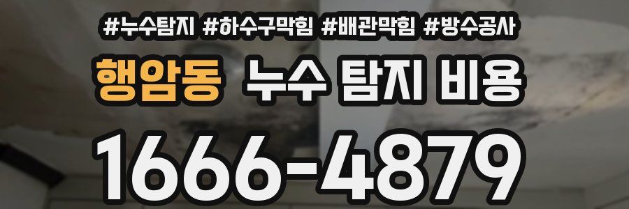 행암동 누수 탐지 비용