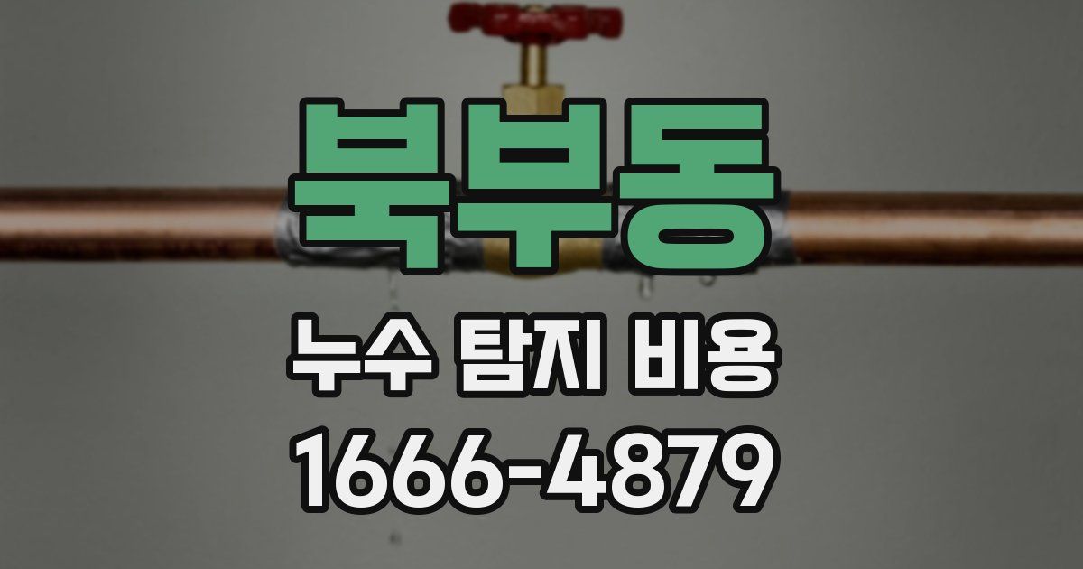 북부동 누수 탐지 비용