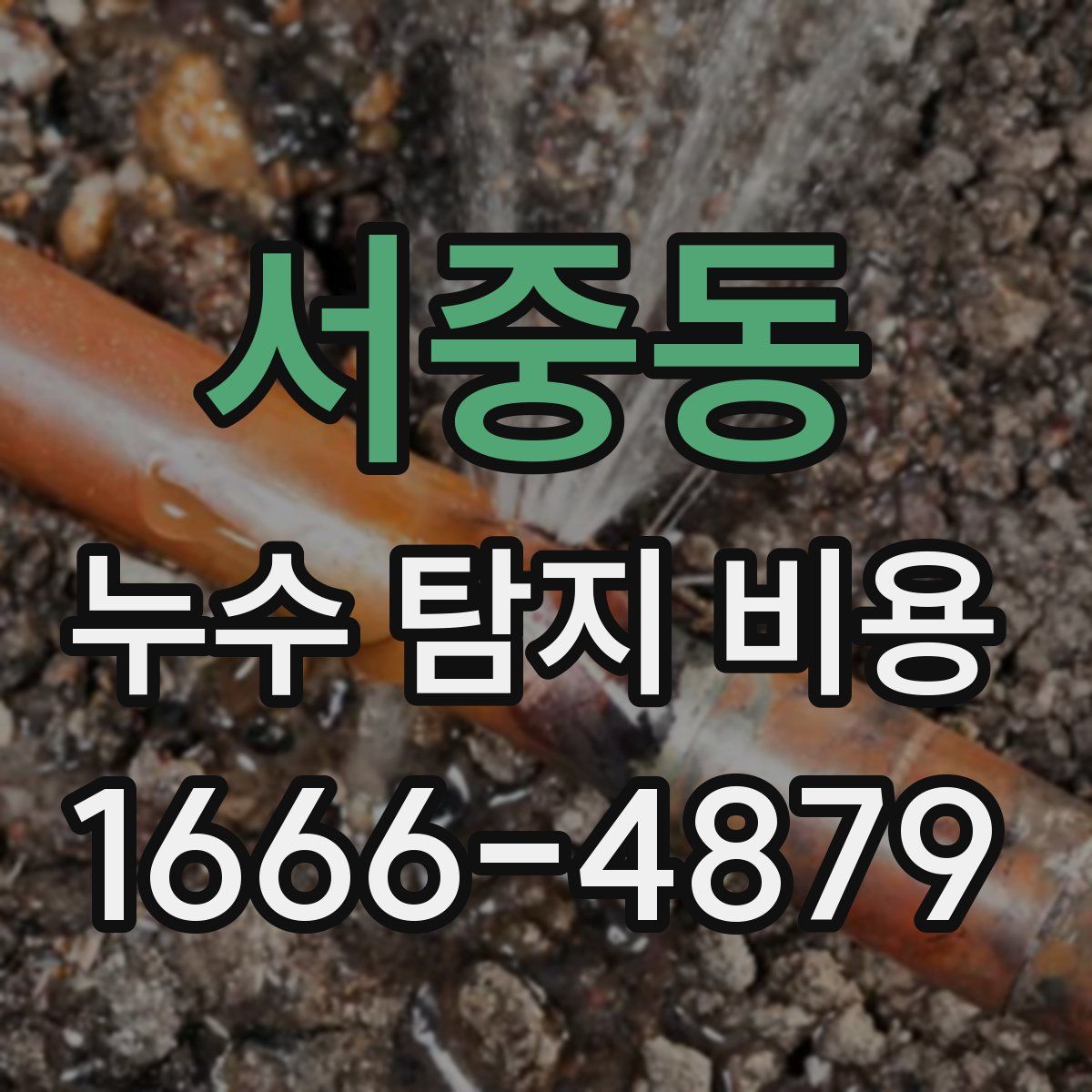 서중동 누수 탐지 비용