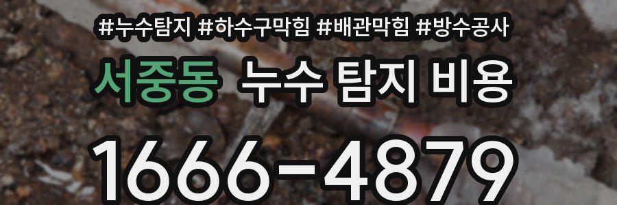 서중동 누수 탐지 비용