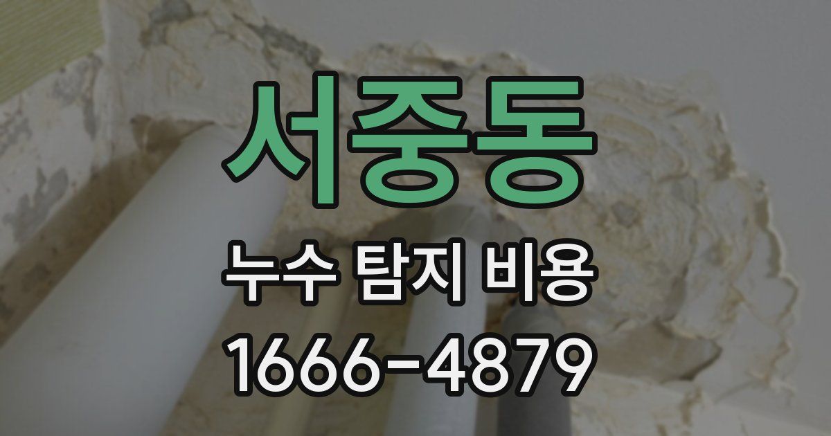 서중동 누수 탐지 비용