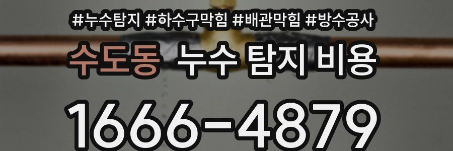 수도동 누수 탐지 비용