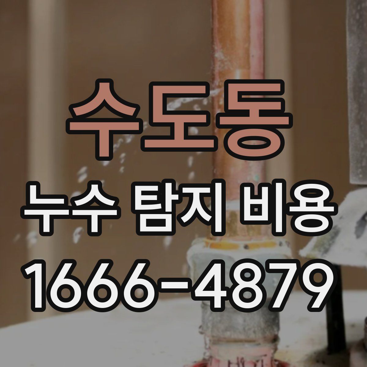 수도동 누수 탐지 비용